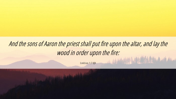 Picture 06 - Leviticus 1:7 KJV Desktop Wallpaper - And the sons of Aaron the priest shall put fire - Desktop Bible Verse Wallpaper