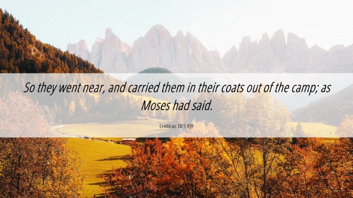 Picture 06 - Leviticus 10:5 KJV Desktop Wallpaper - So they went near, and carried them in their - Desktop Bible Verse Wallpaper
