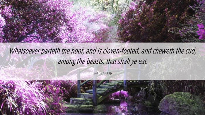 Picture 06 - Leviticus 11:3 KJV Desktop Wallpaper - Whatsoever parteth the hoof, and is - Desktop Bible Verse Wallpaper