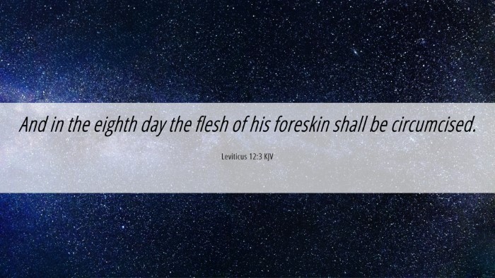 Picture 06 - Leviticus 12:3 KJV Desktop Wallpaper - And in the eighth day the flesh of his foreskin - Desktop Bible Verse Wallpaper