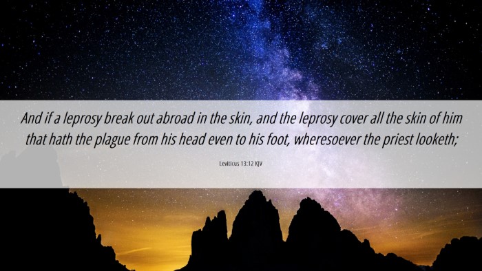 Picture 06 - Leviticus 13:12 KJV Desktop Wallpaper - And if a leprosy break out abroad in the skin, - Desktop Bible Verse Wallpaper