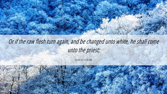 Picture 06 - Leviticus 13:16 KJV Desktop Wallpaper - Or if the raw flesh turn again, and be changed - Desktop Bible Verse Wallpaper
