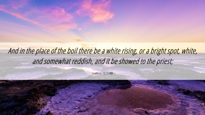 Picture 06 - Leviticus 13:19 KJV Desktop Wallpaper - And in the place of the boil there be a white - Desktop Bible Verse Wallpaper
