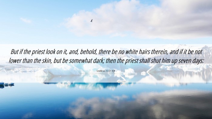 Picture 06 - Leviticus 13:21 KJV Desktop Wallpaper - But if the priest look on it, and, behold, there - Desktop Bible Verse Wallpaper