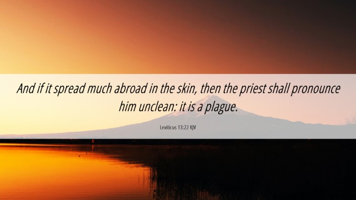 Picture 06 - Leviticus 13:22 KJV Desktop Wallpaper - And if it spread much abroad in the skin, then - Desktop Bible Verse Wallpaper