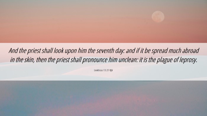 Picture 06 - Leviticus 13:27 KJV Desktop Wallpaper - And the priest shall look upon him the seventh - Desktop Bible Verse Wallpaper