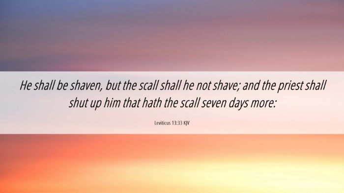 Picture 06 - Leviticus 13:33 KJV Desktop Wallpaper - He shall be shaven, but the scall shall he not - Desktop Bible Verse Wallpaper