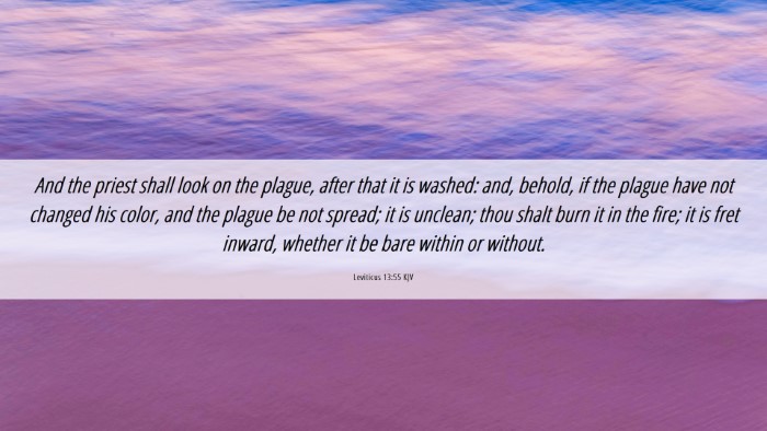 Picture 06 - Leviticus 13:55 KJV Desktop Wallpaper - And the priest shall look on the plague, after - Desktop Bible Verse Wallpaper