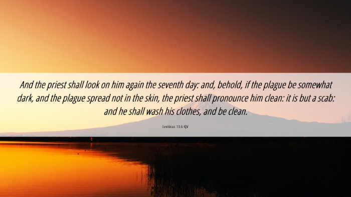 Picture 06 - Leviticus 13:6 KJV Desktop Wallpaper - And the priest shall look on him again the - Desktop Bible Verse Wallpaper