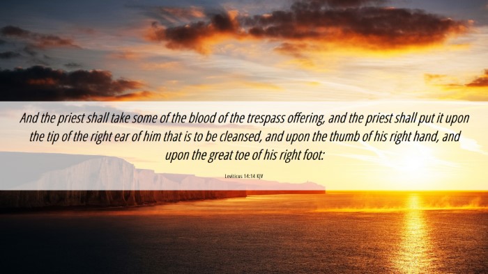 Picture 06 - Leviticus 14:14 KJV Desktop Wallpaper - And the priest shall take some of the blood of - Desktop Bible Verse Wallpaper