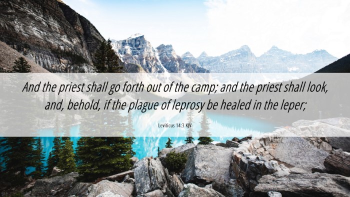 Picture 06 - Leviticus 14:3 KJV Desktop Wallpaper - And the priest shall go forth out of the camp; - Desktop Bible Verse Wallpaper