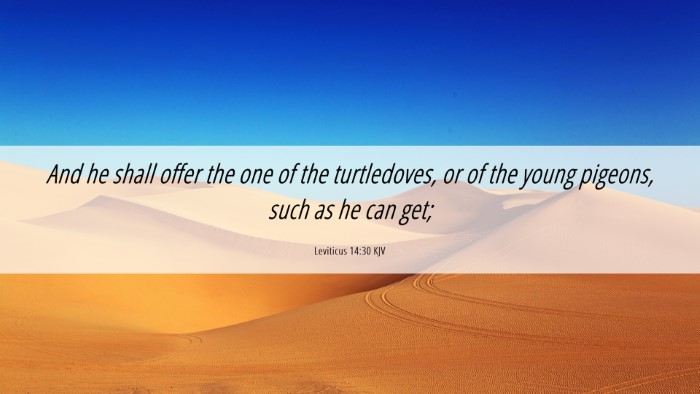 Picture 06 - Leviticus 14:30 KJV Desktop Wallpaper - And he shall offer the one of the turtledoves, or - Desktop Bible Verse Wallpaper