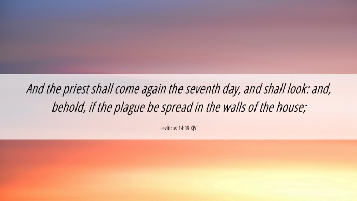 Picture 06 - Leviticus 14:39 KJV Desktop Wallpaper - And the priest shall come again the seventh day, - Desktop Bible Verse Wallpaper