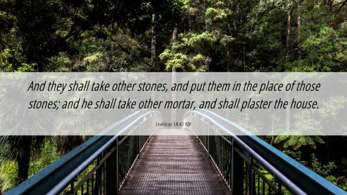 Picture 06 - Leviticus 14:42 KJV Desktop Wallpaper - And they shall take other stones, and put them in - Desktop Bible Verse Wallpaper