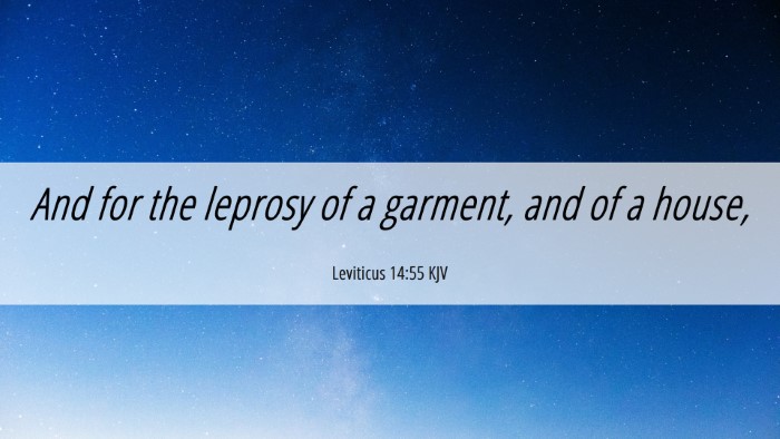 Picture 06 - Leviticus 14:55 KJV Desktop Wallpaper - And for the leprosy of a garment, and of a - Desktop Bible Verse Wallpaper