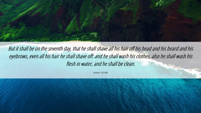 Picture 06 - Leviticus 14:9 KJV Desktop Wallpaper - But it shall be on the seventh day, that he shall - Desktop Bible Verse Wallpaper