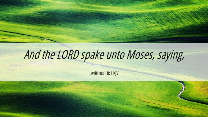 Picture 06 - Leviticus 18:1 KJV Desktop Wallpaper - And the LORD spake unto Moses, - Desktop Bible Verse Wallpaper