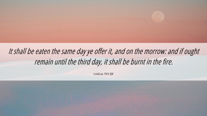 Picture 06 - Leviticus 19:6 KJV Desktop Wallpaper - It shall be eaten the same day ye offer it, and - Desktop Bible Verse Wallpaper