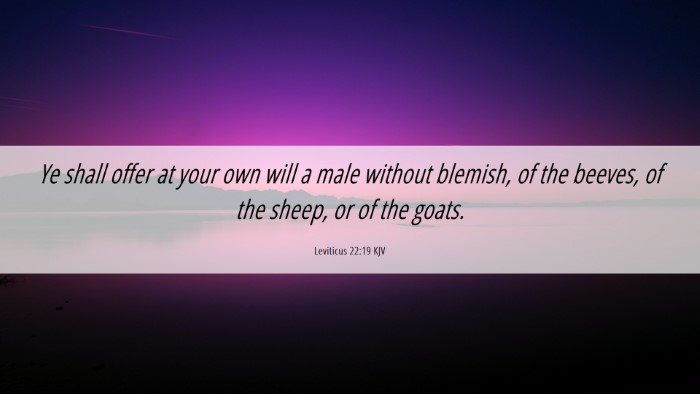 Picture 06 - Leviticus 22:19 KJV Desktop Wallpaper - Ye shall offer at your own will a male without - Desktop Bible Verse Wallpaper