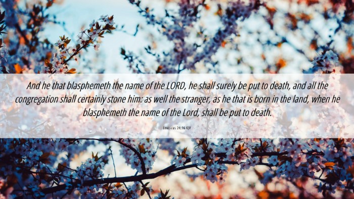 Picture 06 - Leviticus 24:16 KJV Desktop Wallpaper - And he that blasphemeth the name of the LORD, he - Desktop Bible Verse Wallpaper