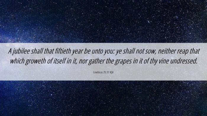 Picture 06 - Leviticus 25:11 KJV Desktop Wallpaper - A jubilee shall that fiftieth year be unto you: - Desktop Bible Verse Wallpaper