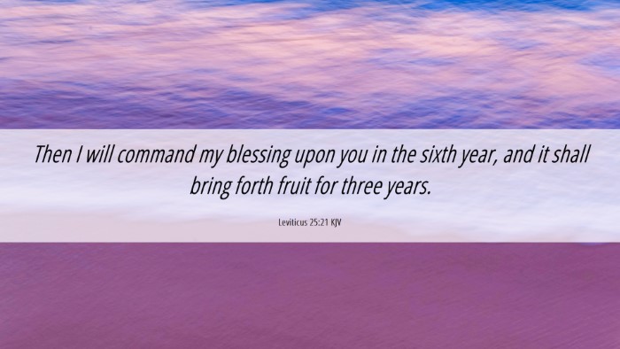 Picture 06 - Leviticus 25:21 KJV Desktop Wallpaper - Then I will command my blessing upon you in the - Desktop Bible Verse Wallpaper