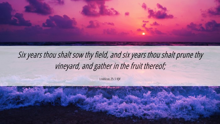 Picture 06 - Leviticus 25:3 KJV Desktop Wallpaper - Six years thou shalt sow thy field, and six years - Desktop Bible Verse Wallpaper