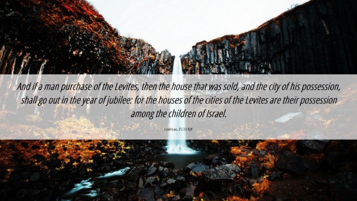 Picture 06 - Leviticus 25:33 KJV Desktop Wallpaper - And if a man purchase of the Levites, then the - Desktop Bible Verse Wallpaper