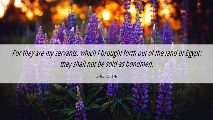 Picture 06 - Leviticus 25:42 KJV Desktop Wallpaper - For they are my servants, which I brought forth - Desktop Bible Verse Wallpaper