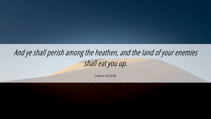 Picture 06 - Leviticus 26:38 KJV Desktop Wallpaper - And ye shall perish among the heathen, and the - Desktop Bible Verse Wallpaper
