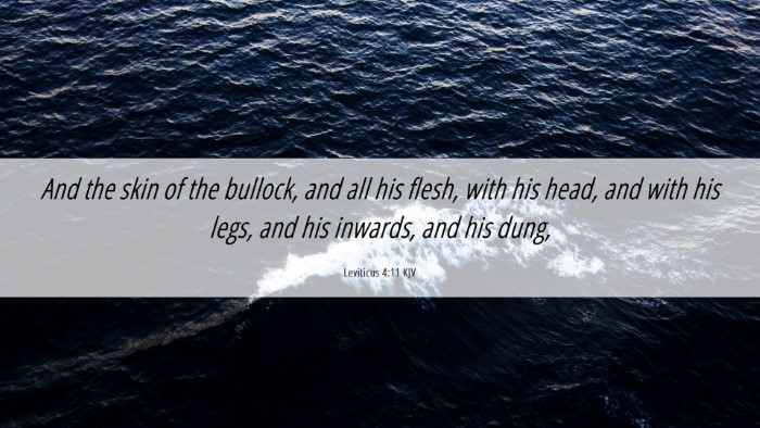 Picture 06 - Leviticus 4:11 KJV Desktop Wallpaper - And the skin of the bullock, and all his flesh, - Desktop Bible Verse Wallpaper