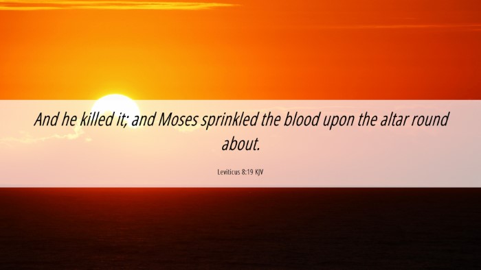 Picture 06 - Leviticus 8:19 KJV Desktop Wallpaper - And he killed it; and Moses sprinkled the blood - Desktop Bible Verse Wallpaper