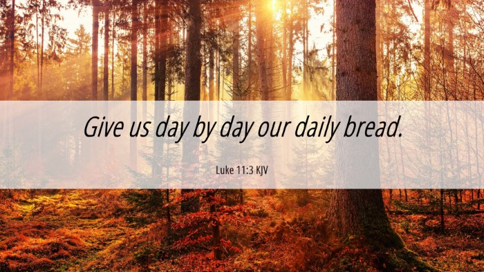 Picture 06 - Luke 11:3 KJV Desktop Wallpaper - Give us day by day our daily - Desktop Bible Verse Wallpaper