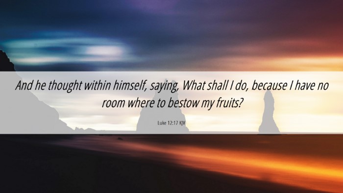 Picture 06 - Luke 12:17 KJV Desktop Wallpaper - And he thought within himself, saying, What shall - Desktop Bible Verse Wallpaper