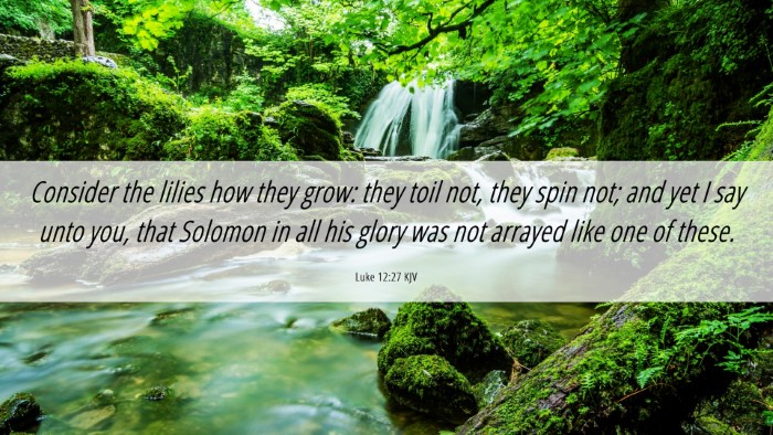Picture 06 - Luke 12:27 KJV Desktop Wallpaper - Consider the lilies how they grow: they toil not, - Desktop Bible Verse Wallpaper
