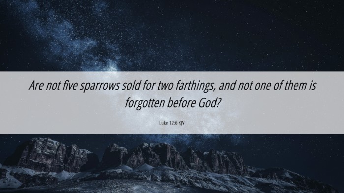 Picture 06 - Luke 12:6 KJV Desktop Wallpaper - Are not five sparrows sold for two farthings, and - Desktop Bible Verse Wallpaper