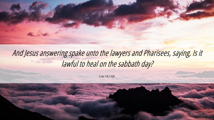 Picture 06 - Luke 14:3 KJV Desktop Wallpaper - And Jesus answering spake unto the lawyers and - Desktop Bible Verse Wallpaper