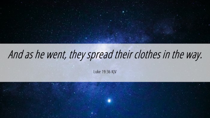 Picture 06 - Luke 19:36 KJV Desktop Wallpaper - And as he went, they spread their clothes in the - Desktop Bible Verse Wallpaper
