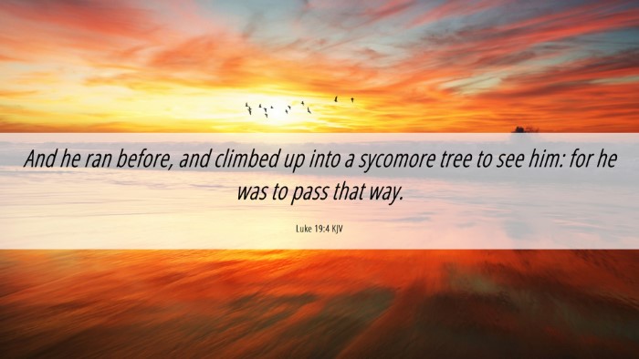 Picture 06 - Luke 19:4 KJV Desktop Wallpaper - And he ran before, and climbed up into a sycomore - Desktop Bible Verse Wallpaper