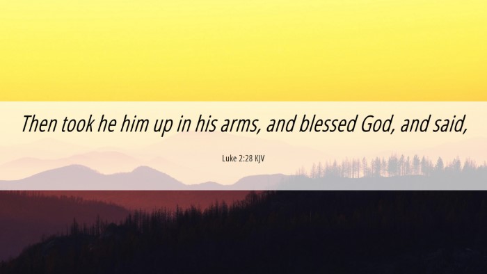 Picture 06 - Luke 2:28 KJV Desktop Wallpaper - Then took he him up in his arms, and blessed God, - Desktop Bible Verse Wallpaper