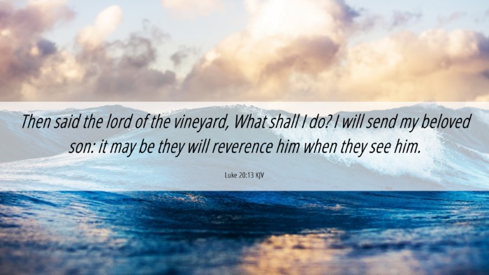 Picture 06 - Luke 20:13 KJV Desktop Wallpaper - Then said the lord of the vineyard, What shall I - Desktop Bible Verse Wallpaper