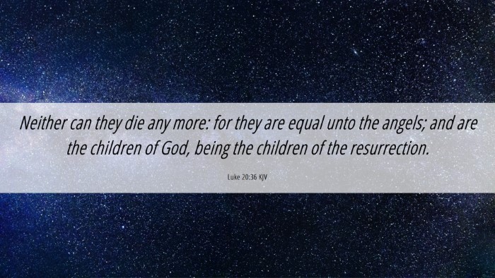 Picture 06 - Luke 20:36 KJV Desktop Wallpaper - Neither can they die any more: for they are equal - Desktop Bible Verse Wallpaper