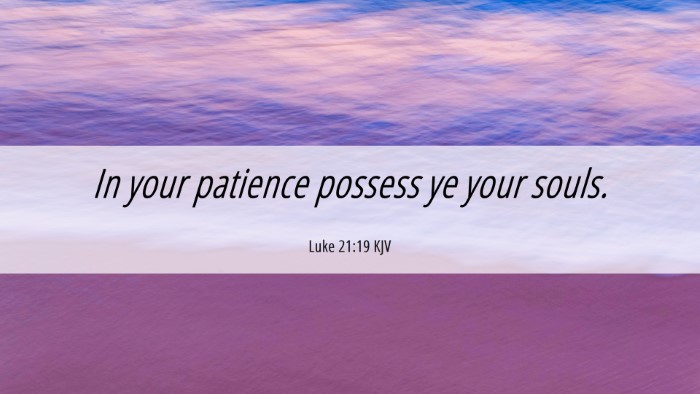 Picture 06 - Luke 21:19 KJV Desktop Wallpaper - In your patience possess ye your - Desktop Bible Verse Wallpaper