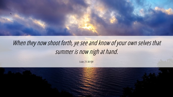 Picture 06 - Luke 21:30 KJV Desktop Wallpaper - When they now shoot forth, ye see and know of - Desktop Bible Verse Wallpaper