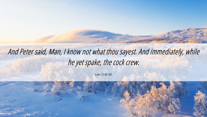 Picture 06 - Luke 22:60 KJV Desktop Wallpaper - And Peter said, Man, I know not what thou sayest. - Desktop Bible Verse Wallpaper