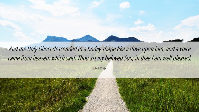 Picture 06 - Luke 3:22 KJV Desktop Wallpaper - And the Holy Ghost descended in a bodily shape - Desktop Bible Verse Wallpaper