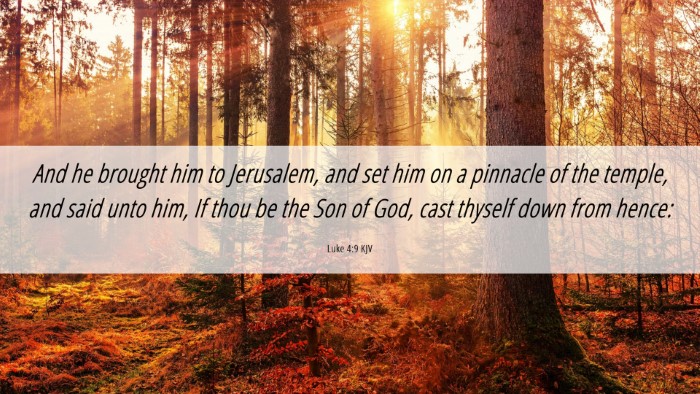 Picture 06 - Luke 4:9 KJV Desktop Wallpaper - And he brought him to Jerusalem, and set him on a - Desktop Bible Verse Wallpaper