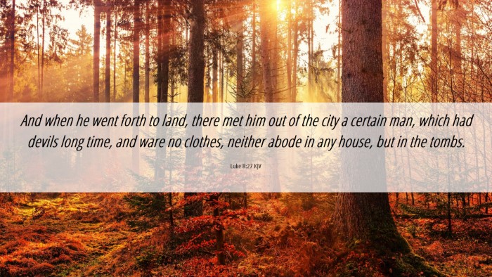 Picture 06 - Luke 8:27 KJV Desktop Wallpaper - And when he went forth to land, there met him out - Desktop Bible Verse Wallpaper