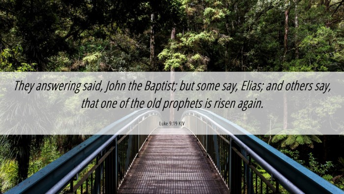 Picture 06 - Luke 9:19 KJV Desktop Wallpaper - They answering said, John the Baptist; but some - Desktop Bible Verse Wallpaper