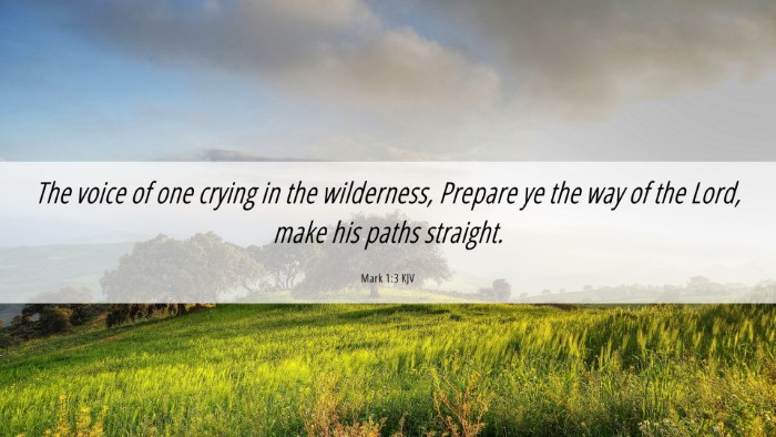 Picture 06 - Mark 1:3 KJV Desktop Wallpaper - The voice of one crying in the wilderness, - Desktop Bible Verse Wallpaper